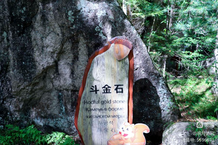 中华诗艺社黑龙江分社/邹淑华:山清水秀 激情依旧(图25)