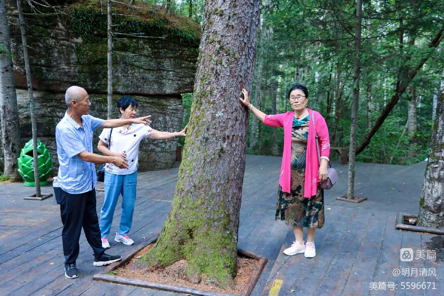 中华诗艺社黑龙江分社/邹淑华:山清水秀 激情依旧(图33)