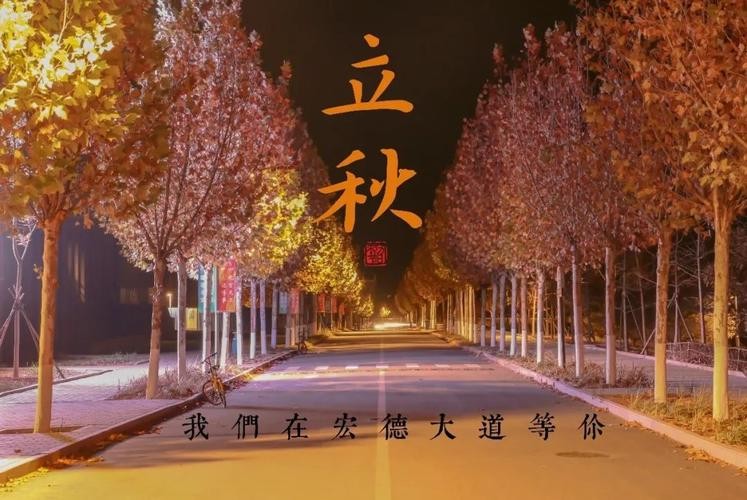 【经典推荐】昨夜天//我在立秋里等你 花开不谢（图3）