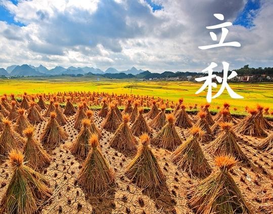 【经典推荐】昨夜天//我在立秋里等你 花开不谢（图10）