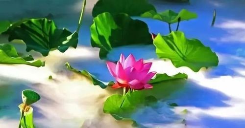 【经典推荐】昨夜天//窗外 又见晚霞漫天（图7）