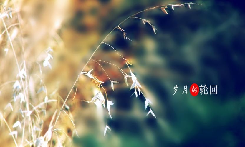【经典推荐】昨夜天//窗外 又见晚霞漫天（图5）