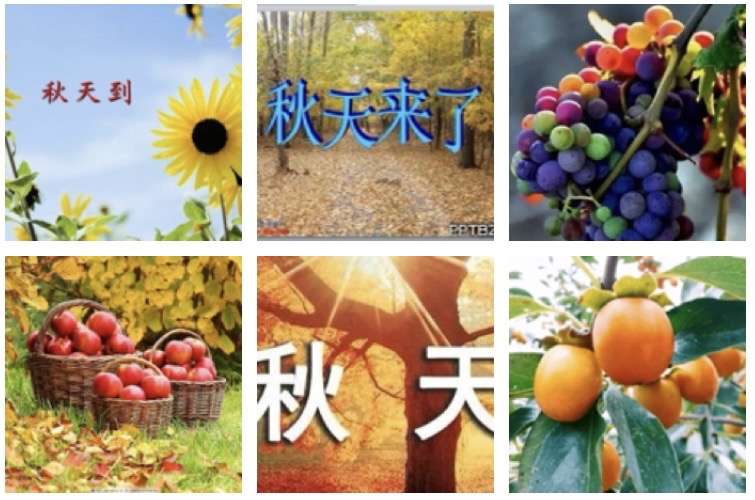 〔诗词小辑〕文/风鸽（张晓峰）【冰心文化传媒】（图3）