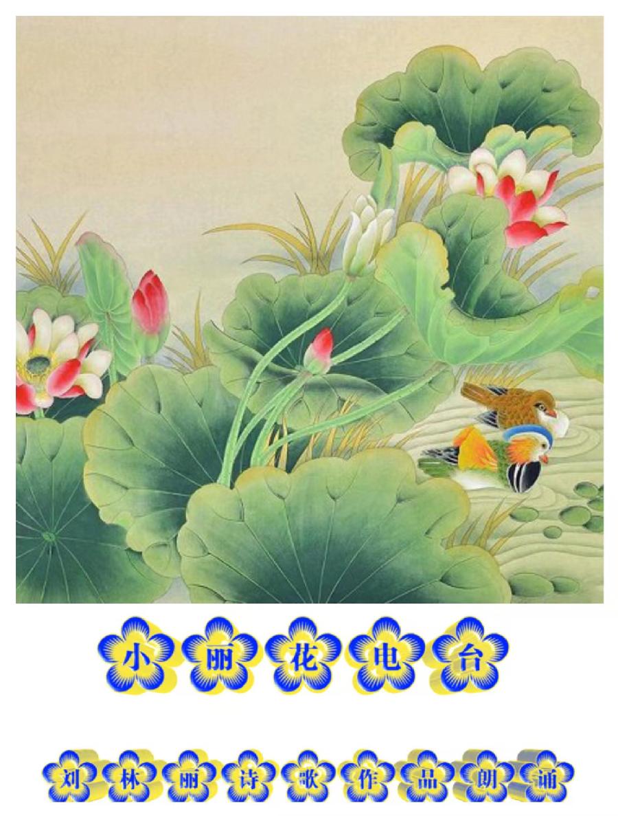 刘林丽诗歌作品182《等你于时光深处》 朗诵/编辑制作刘林丽