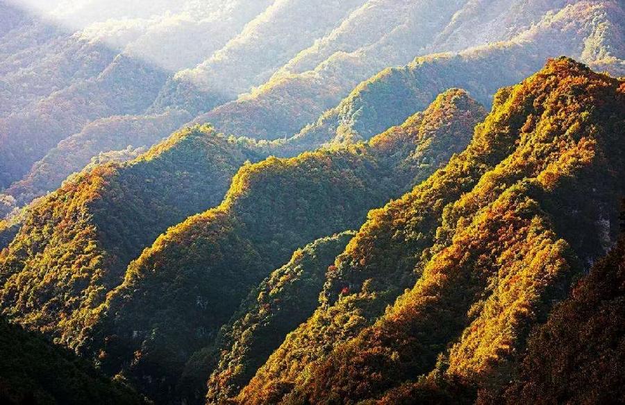 张立国:七律·秋日漫兴 (新韵)(图4)