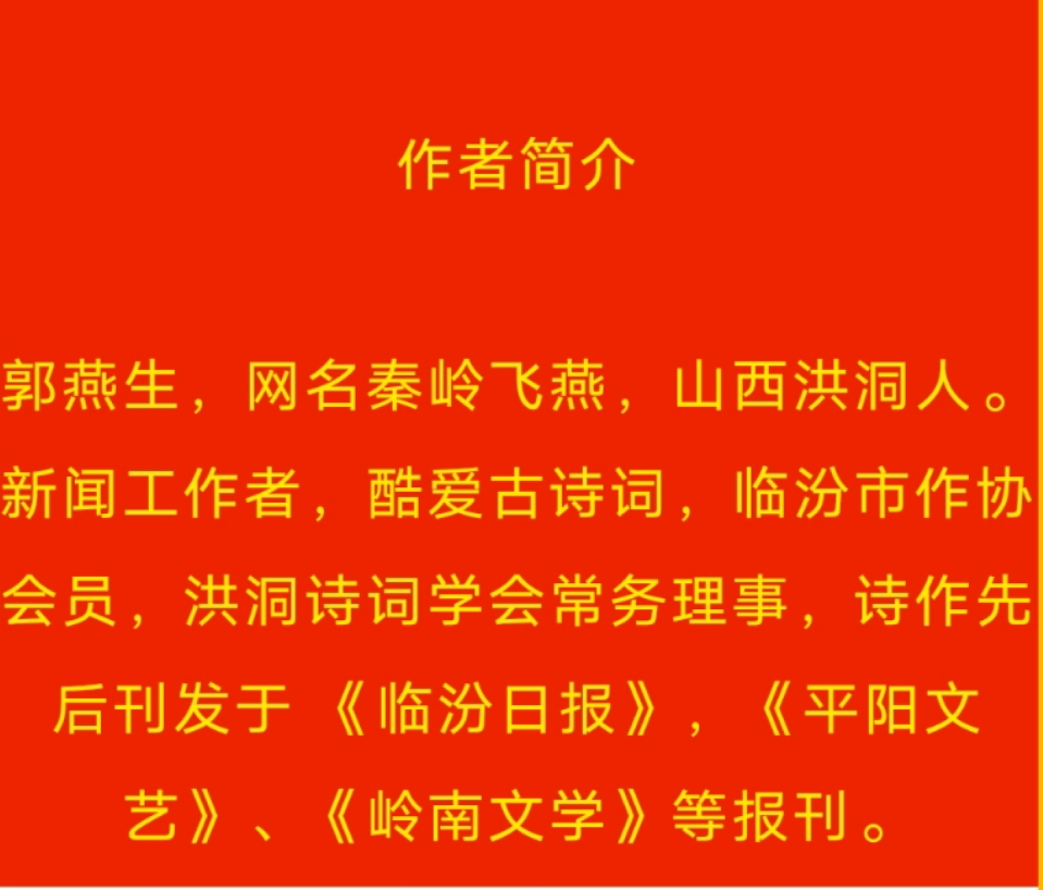 《咏人民解放軍十大将》 秦岭飞燕 （山西）【冰心文化传媒】（图14）