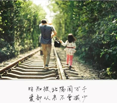 【新山东文学社】《爱与不爱》作者/山佳 主播/小小鸟（图4）