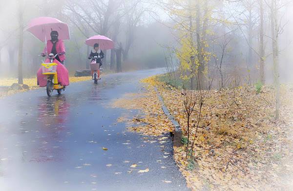 秋和雨 文／孙海飞 【冰心文化传媒】（图3）
