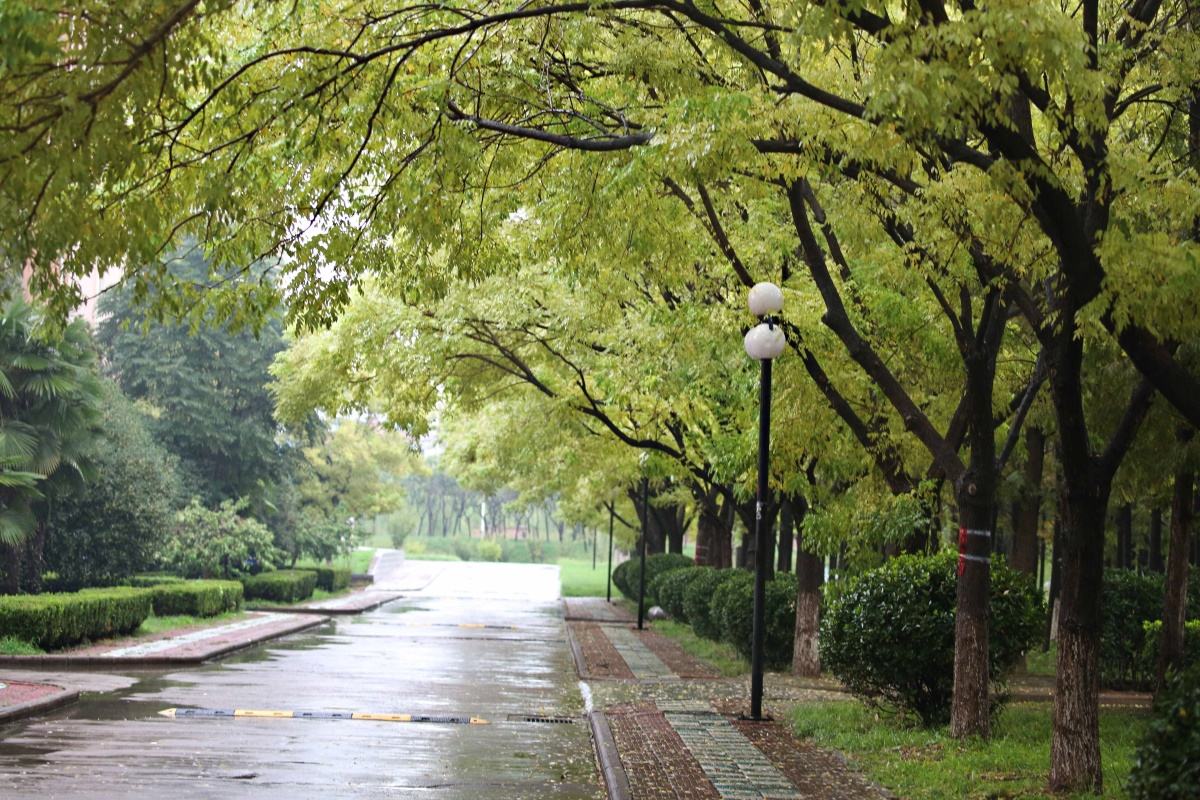 秋和雨 文／孙海飞 【冰心文化传媒】（图4）
