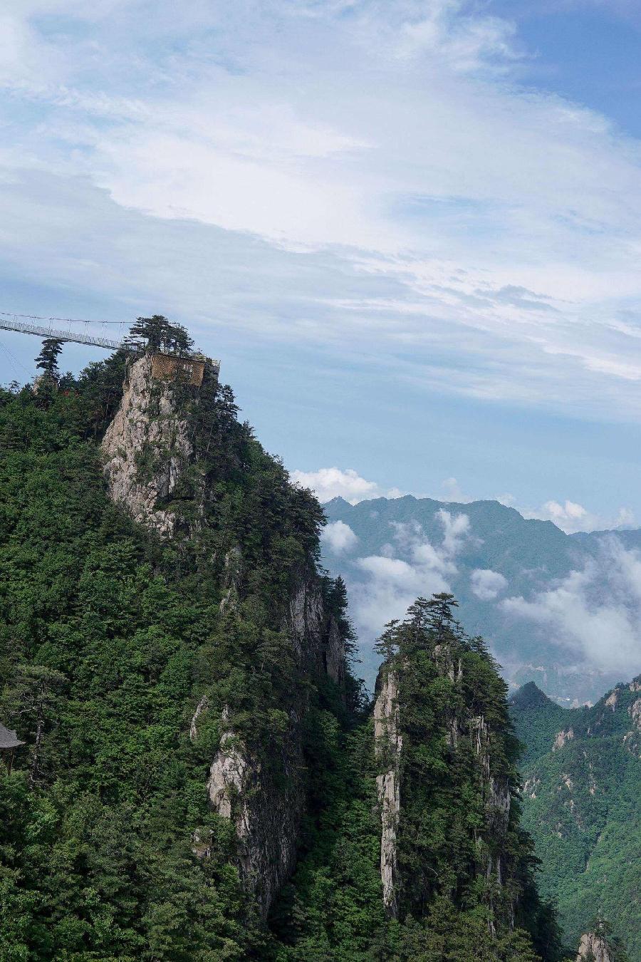 【枫雅汇看图约诗】诗人陈江《170期》（风景这边独好～～游西峡老界岭）（图13）