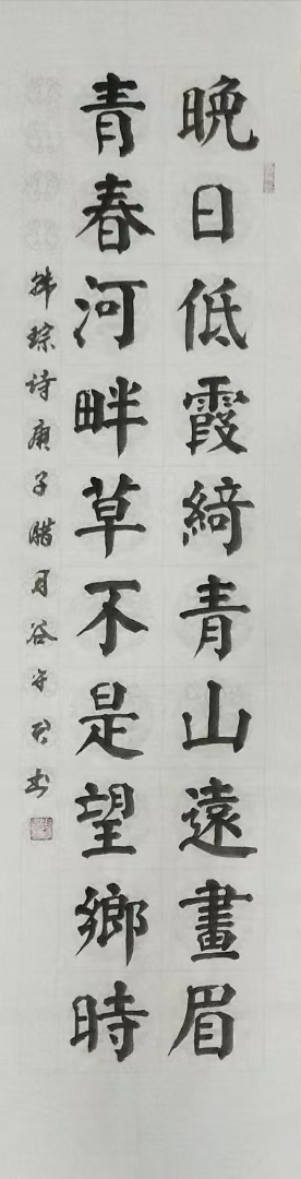 谷守君书法欣赏:古诗词(图10)