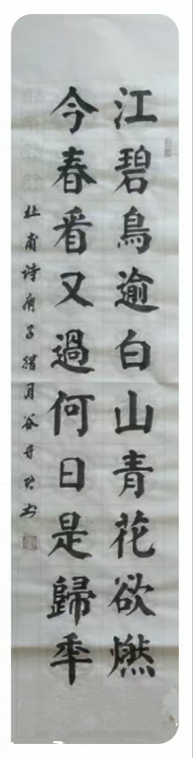 谷守君书法欣赏:古诗词(图15)