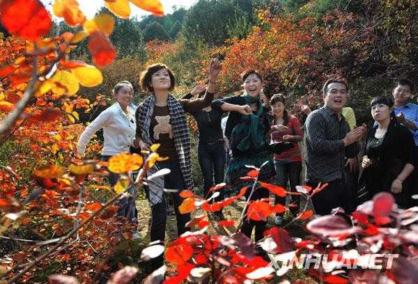 【经典推荐】王清义//五律•秋歌（图4）