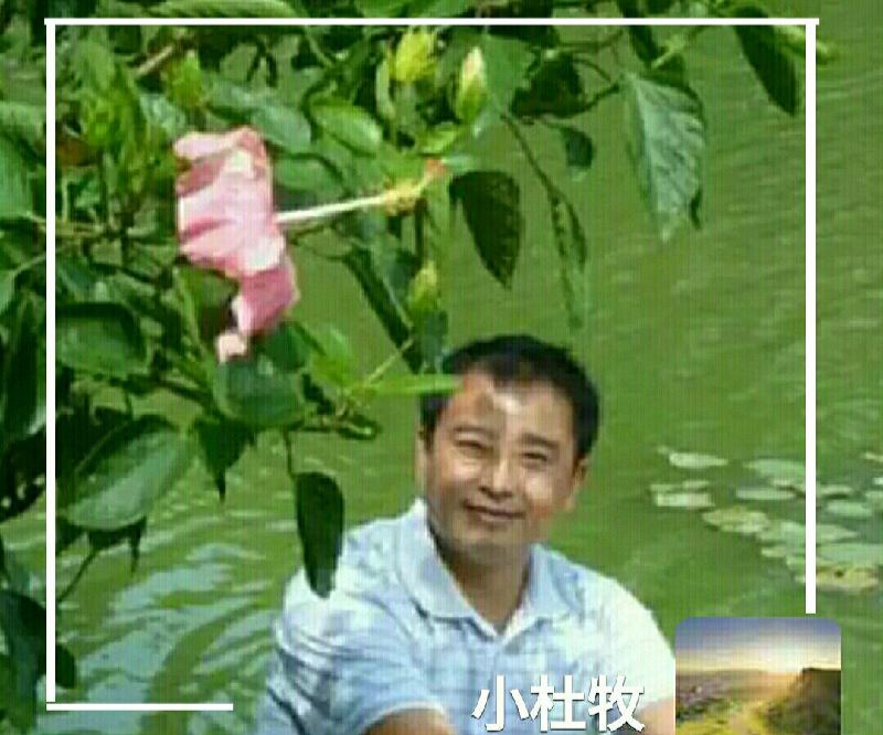 【新山东文学社】《七绝.咏物精选十首》作者/小杜牧 主播/苏宁（图7）