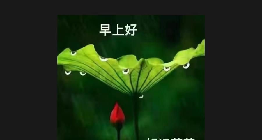 《名家专刊》【九江文学社：北京头条】著名书法家余斯文先生佳作《题图诗四咏》（图4）