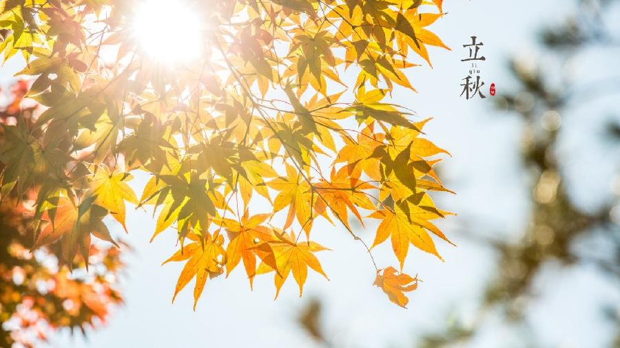 【潇湘文学社】潇湘紫竹诗社《总422期》（随吟辑）（图6）
