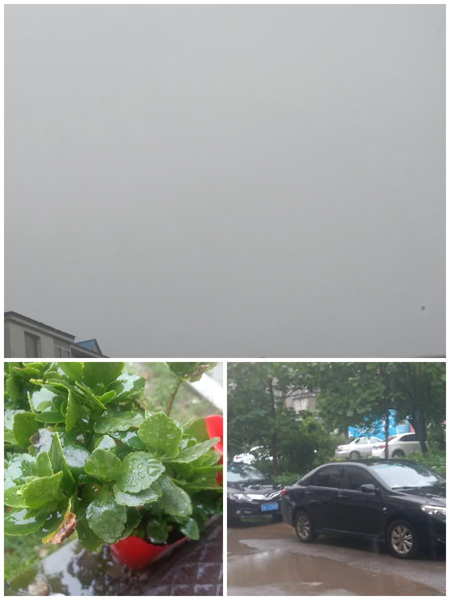 骤雨袭来