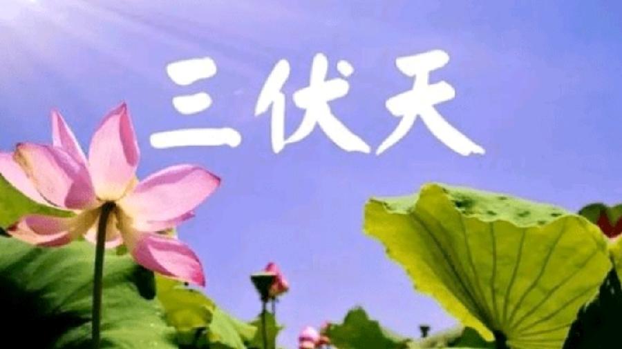 《名家专刊》【九江文学社：北京头条】丘新梅先生佳作欣赏（图10）