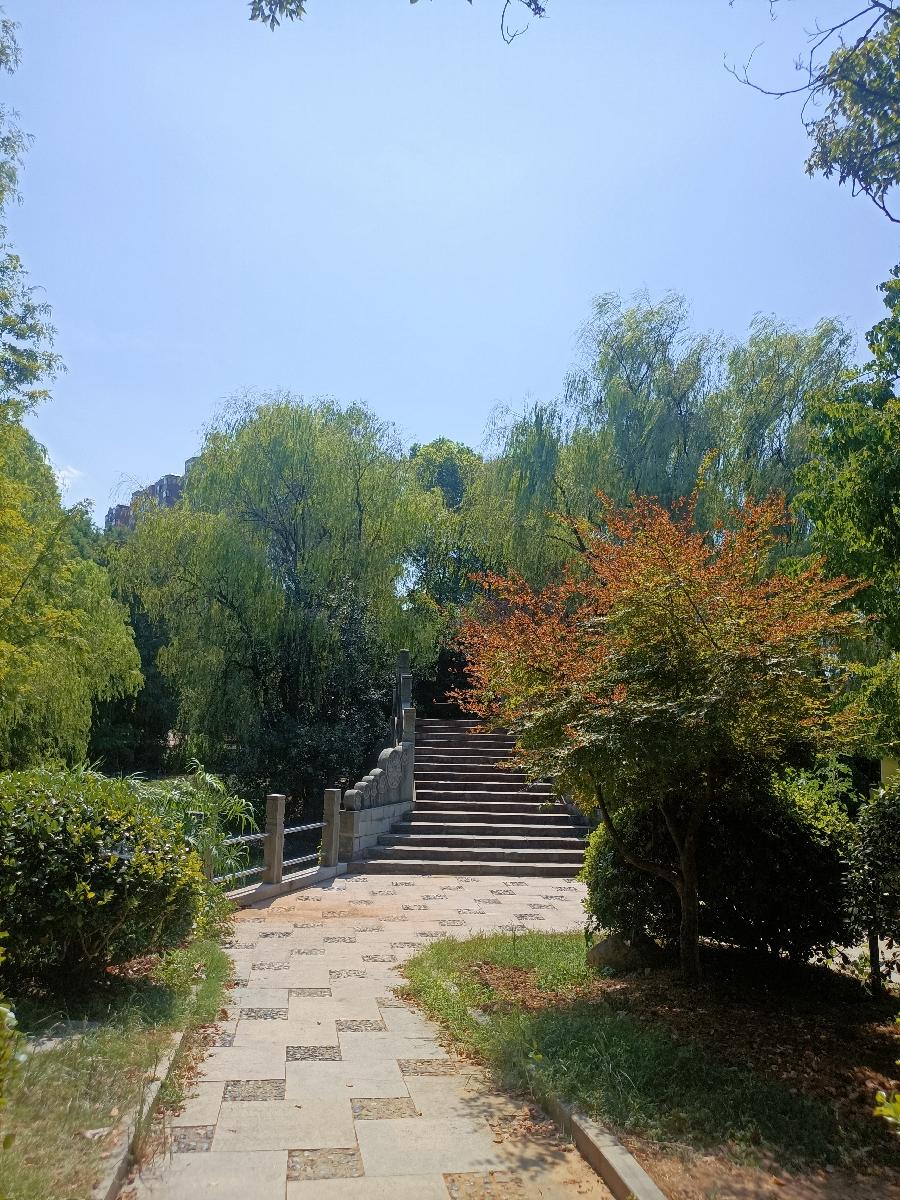 七律·秋游龙开河 作者:吴云钦(图2)