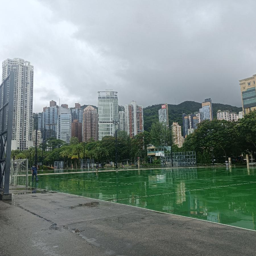 维多利亚公园（图14）