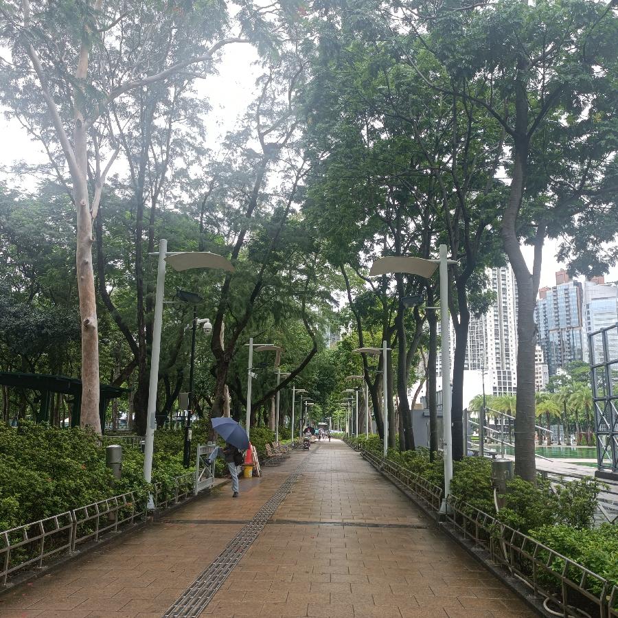维多利亚公园（图17）
