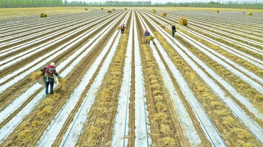 【请欣赏熊宗江老师格律诗词专辑】中华诗艺九江格律诗社推送(总001508期)(图8)