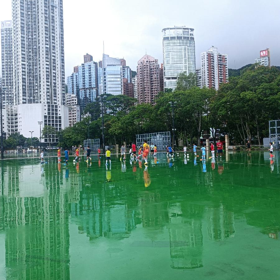 维多利亚公园（图22）