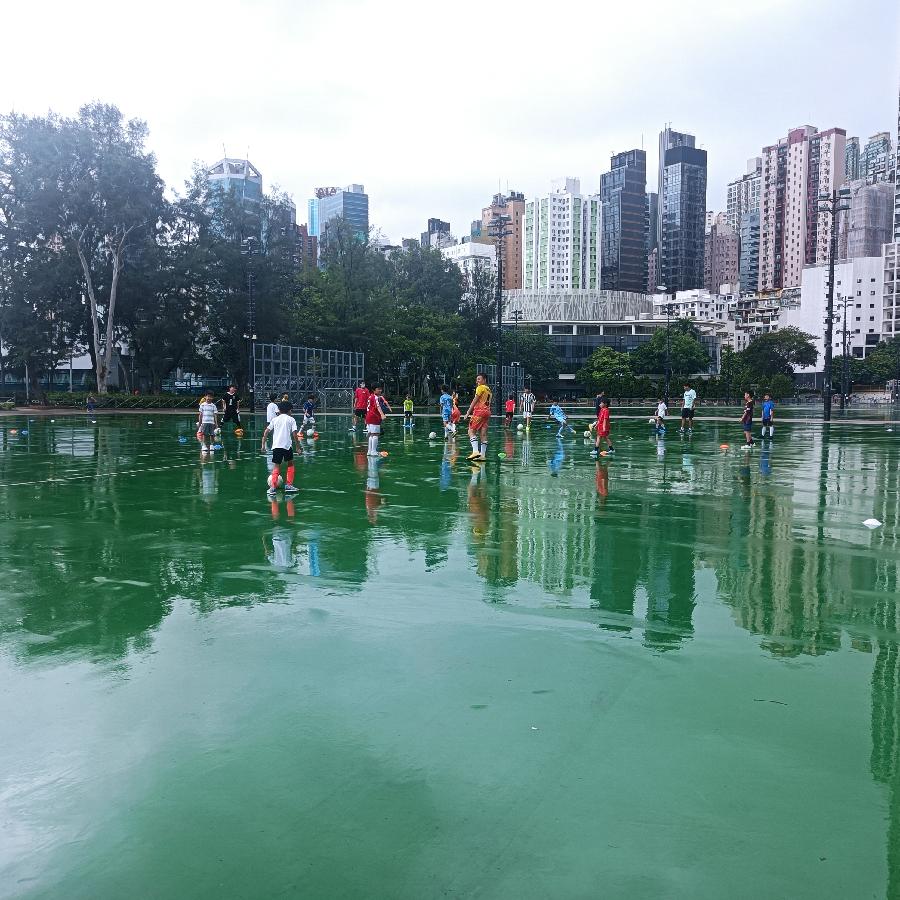 维多利亚公园（图32）