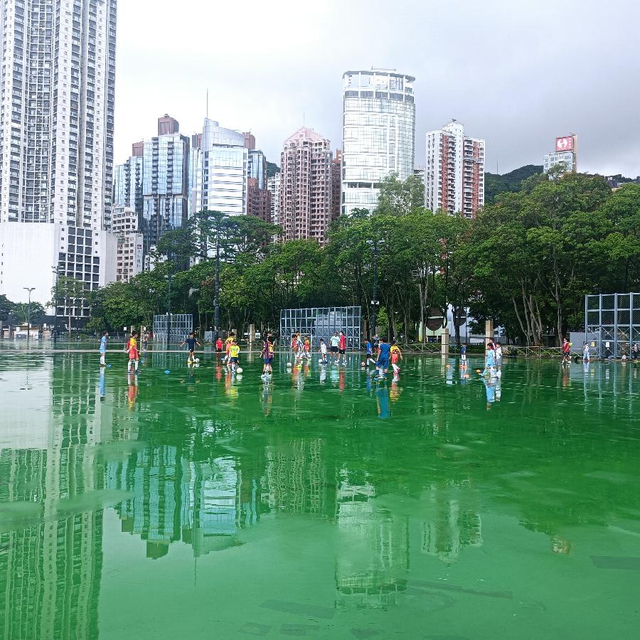 维多利亚公园（图34）