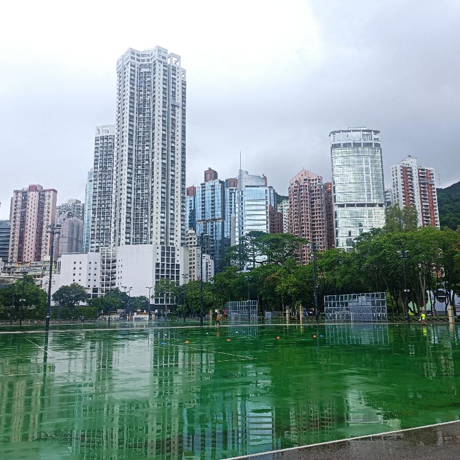 维多利亚公园（图35）