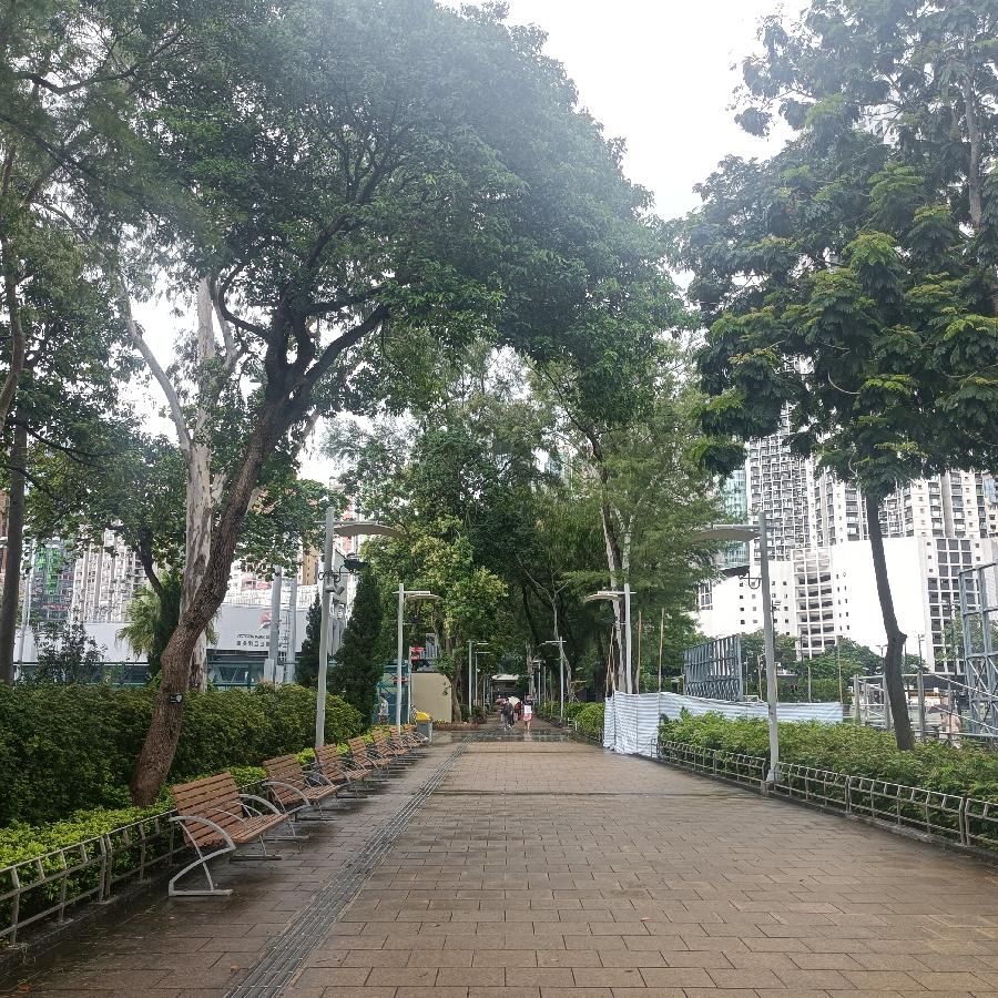 维多利亚公园（图38）