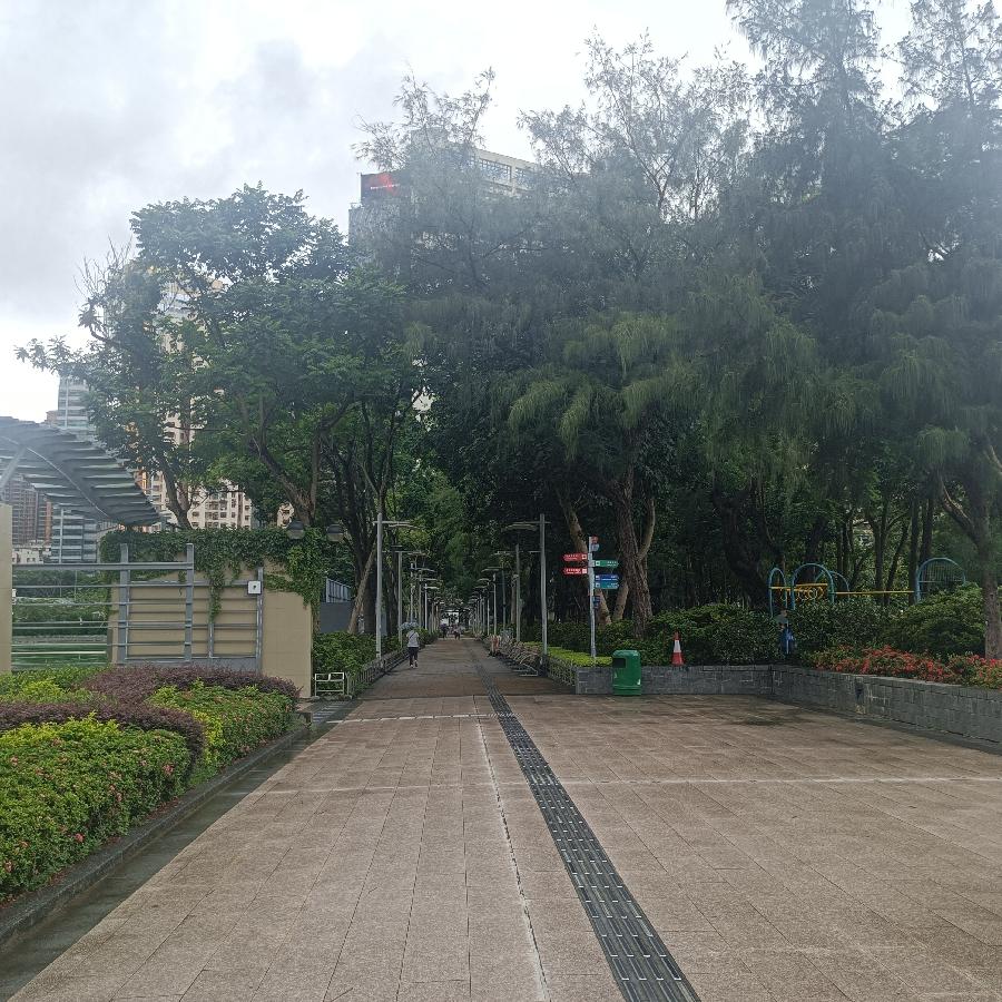 维多利亚公园（图37）