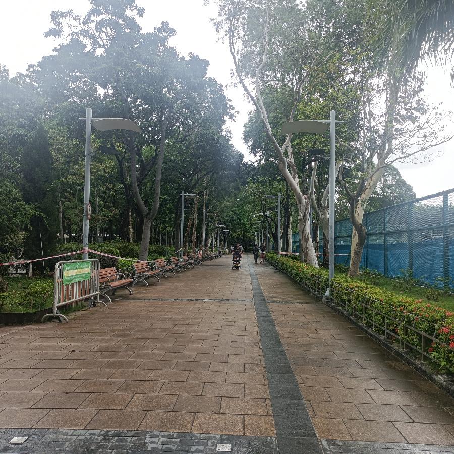 维多利亚公园（图40）