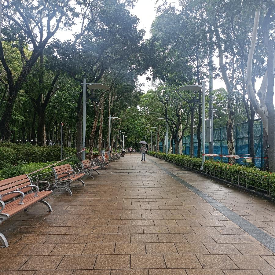 维多利亚公园（图42）