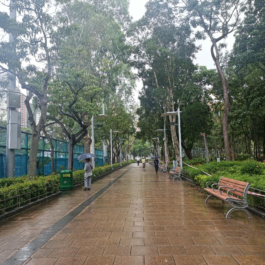 维多利亚公园（图43）