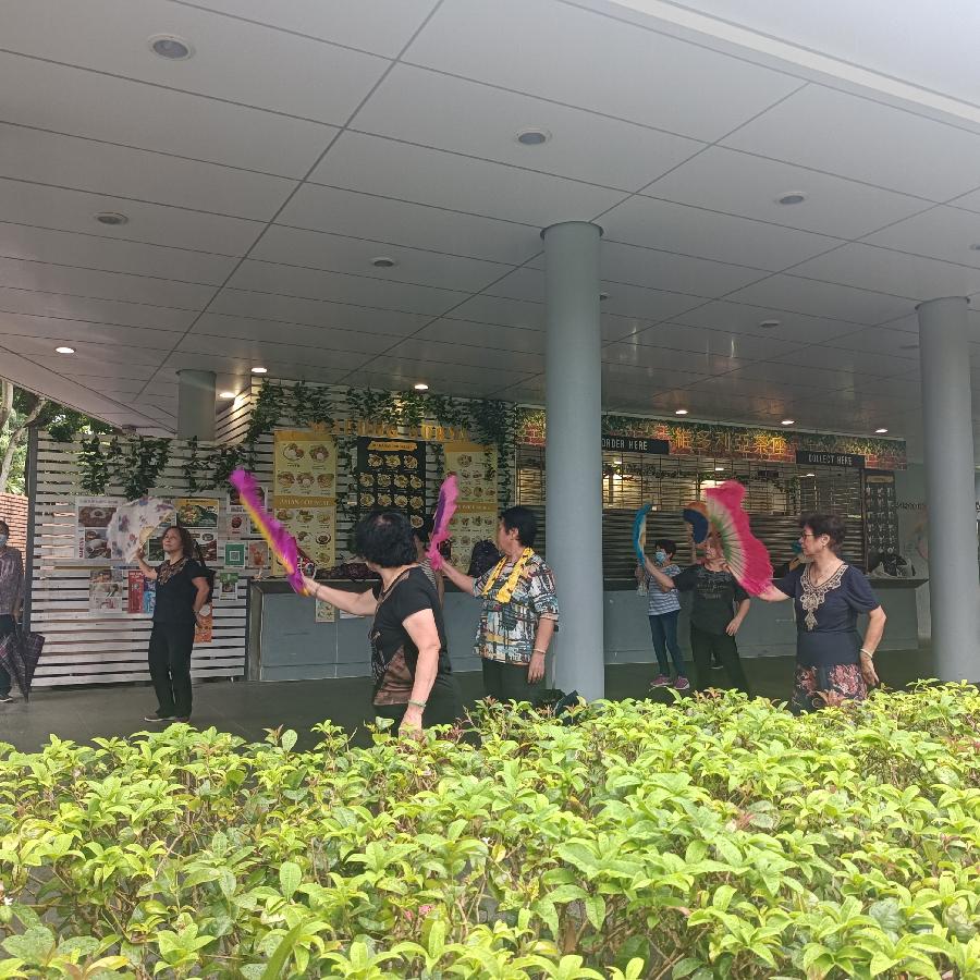 维多利亚公园（图45）