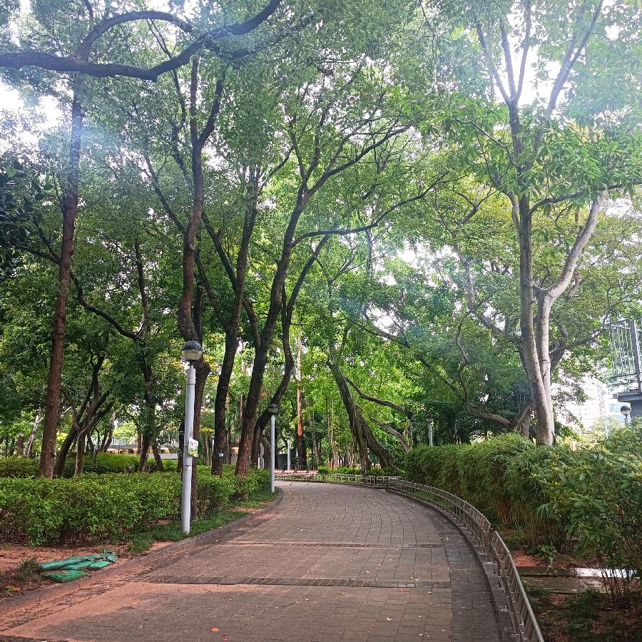 维多利亚公园（图47）