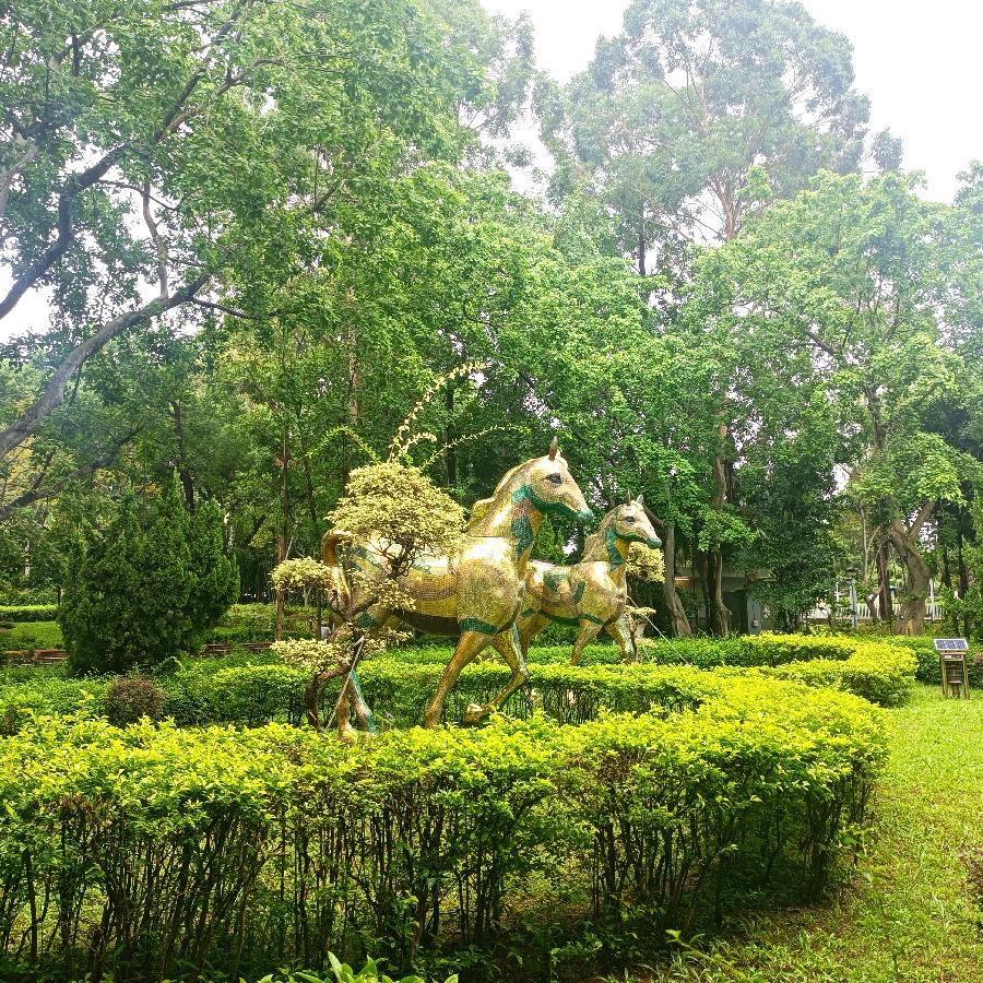 维多利亚公园（图50）