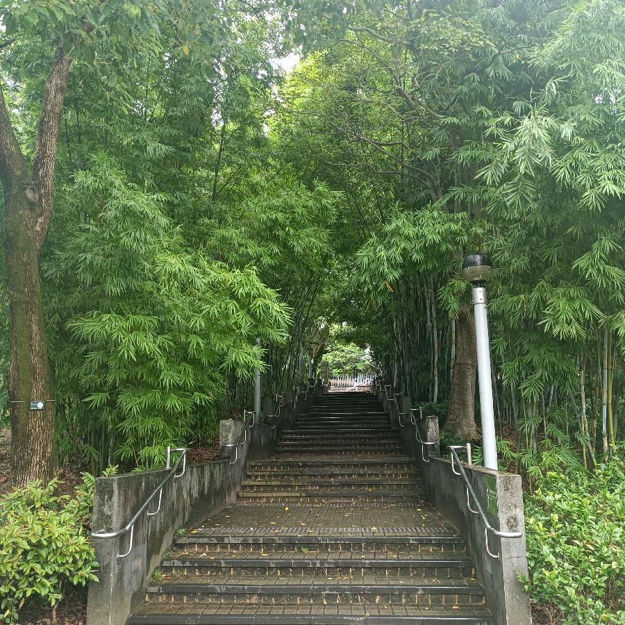 维多利亚公园（图57）