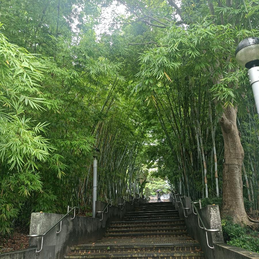 维多利亚公园（图58）