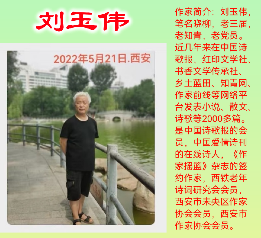 中篇小说《儿女婚事》之八/郝东方很喜欢赵巧凤(刘玉伟)(图4)