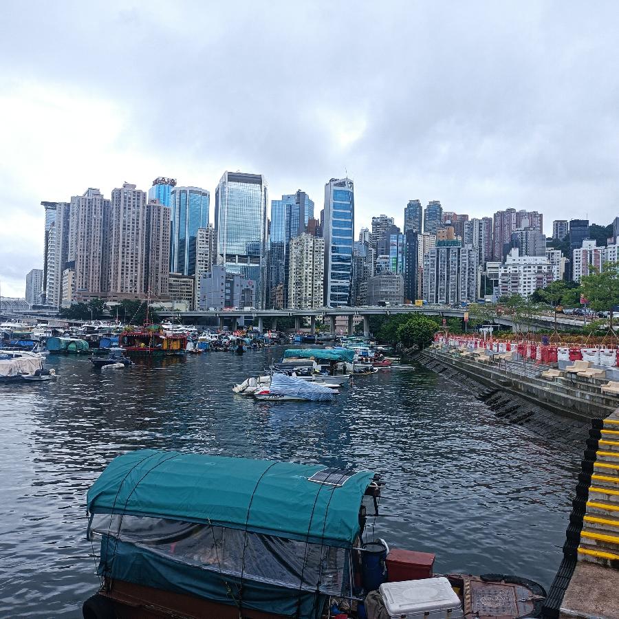 铜锣湾避风塘（图14）