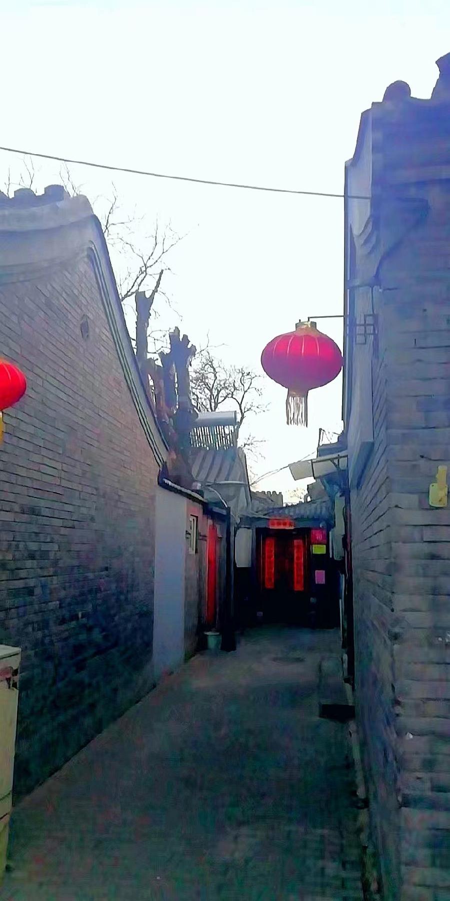 中国当代艺术名家丹亚洲:油画、摄影作品欣赏(图100)
