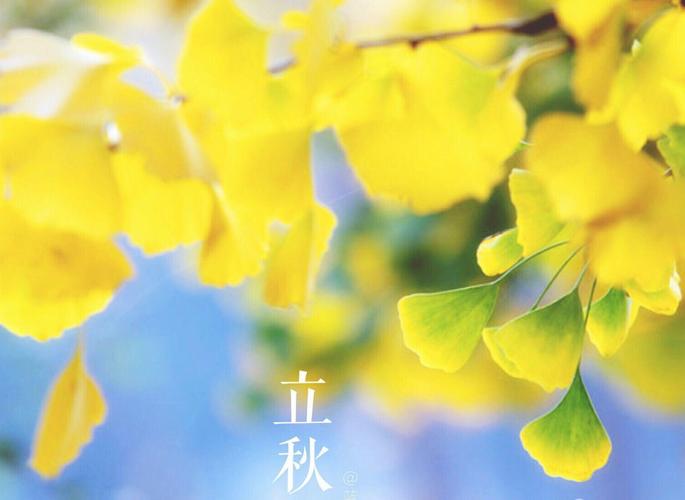 原创（姽婳诗秋）30首/文／李文清