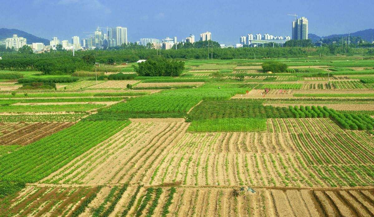 这土地 （外一首） 文／芦国柱（江苏镇江）【冰心文化传媒】（图3）