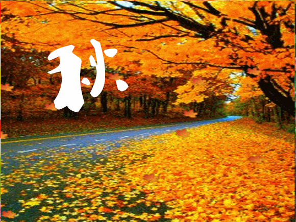 【潇湘文学社】潇湘如兰诗社《总423期》(嵌句:一宿秋风未觉凉)(图15)