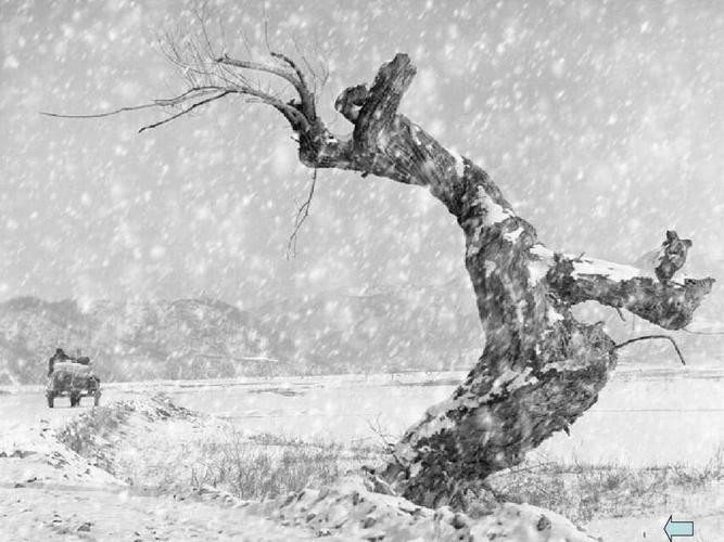 逯家驹诵读《雪落在中国的土地上》（图3）