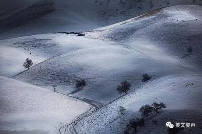逯家驹诵读《雪落在中国的土地上》（图6）
