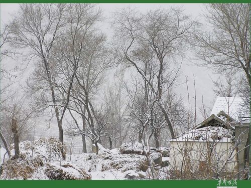 逯家驹诵读《雪落在中国的土地上》（图4）