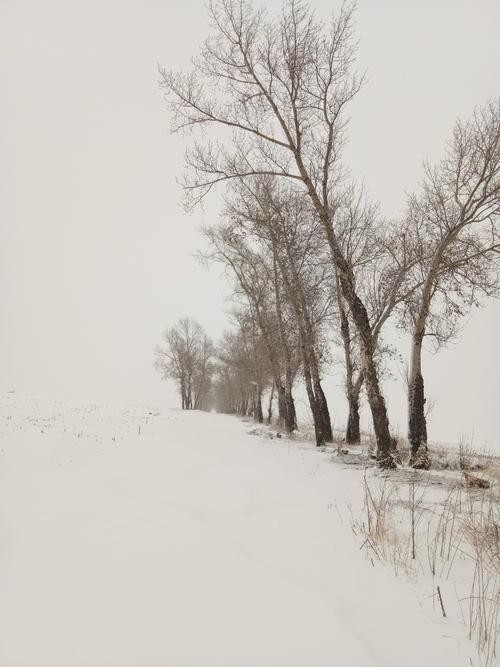 逯家驹诵读《雪落在中国的土地上》（图9）